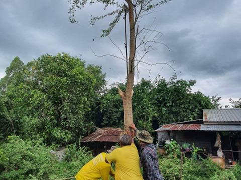 ปรับภูมิทัศน์รอบๆบริเวรวัดเขาโชคอำนวย