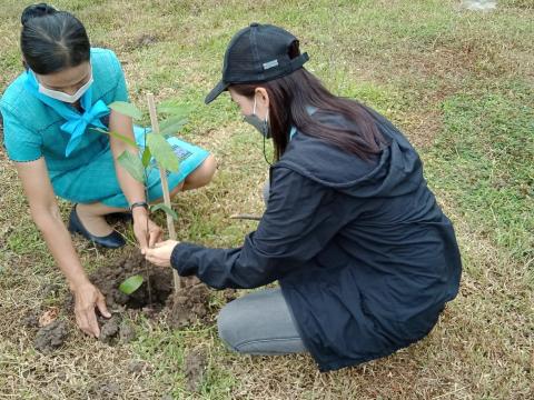 โครงการปลูกต้นไม้เฉลิมพระเกียรติ