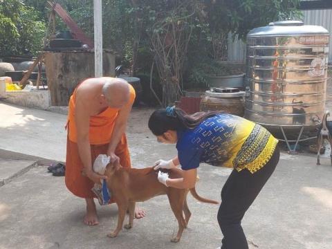 ออกดำเนินการฉีดวัคซีนโรคพิษสุนัขบ้า ให้แก่สุนัขและแมวที่วัดศิริสุขาราม หมู่ที่ 5