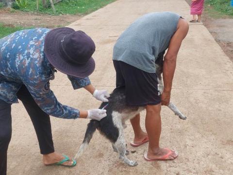 โครงการควบคุมป้องกันโรคพิษสุนัขบ้า ประจำปี 2566