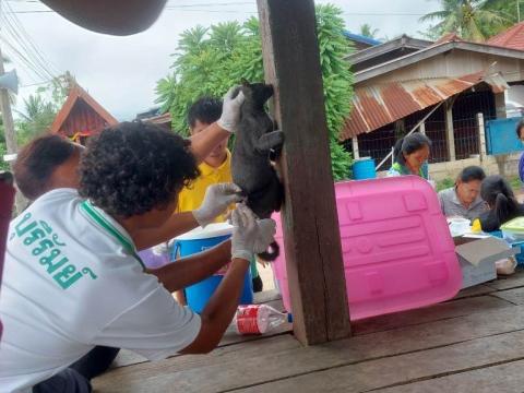โครงการควบคุมป้องกันโรคพิษสุนัขบ้า ประจำปี 2566
