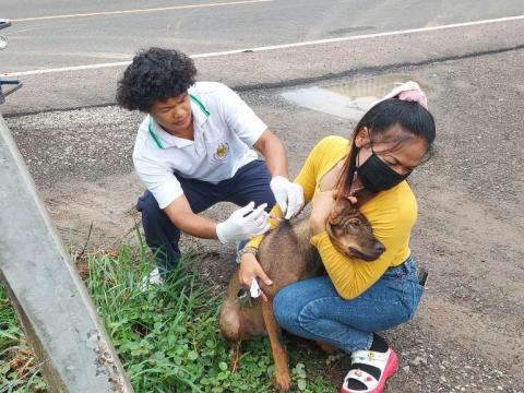 โครงการควบคุมป้องกันโรคพิษสุนัขบ้า ประจำปี 2566