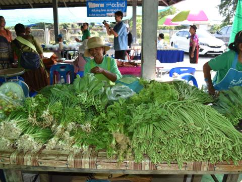 ภาพบรรยากาศงานเปิดตลาดนัดท้องถิ่นสีเขียว