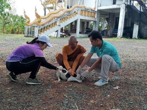 ฉีดวัคซีนป้องกันโรคพิษสุนัขบ้า