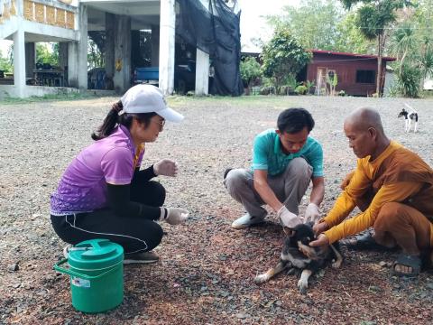 ฉีดวัคซีนป้องกันโรคพิษสุนัขบ้า