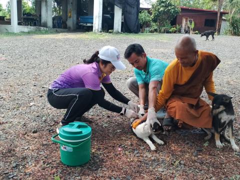 ฉีดวัคซีนป้องกันโรคพิษสุนัขบ้า