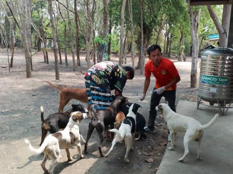 ฉีดวัคซีนป้องกันโรคพิษสุนัขบ้า