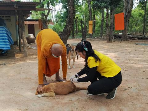 ฉีดวัคซีนป้องกันโรคพิษสุนัขบ้า