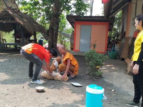 ฉีดวัคซีนป้องกันโรคพิษสุนัขบ้า