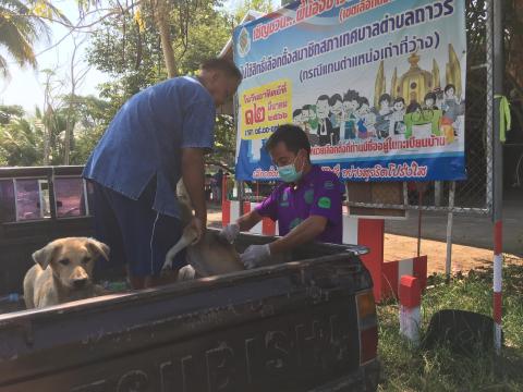 ฉีดวัคซีนป้องกันโรคพิษสุนัขบ้า