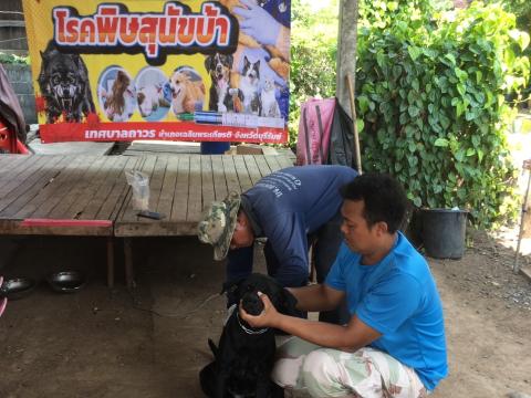 ออกฉีดวัคซีนป้องกันโรคพิษสุนัขบ้า