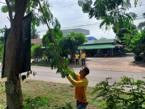 กิจกรรม"Big Cleanning Day"
