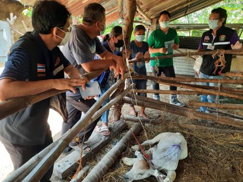 ออกติดตามและให้ความรู้ถึงวิธีการป้องกันและรักษาโรคลัมปี สกิน ให้