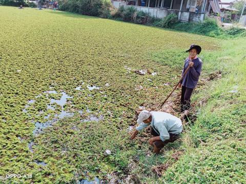 โครงการ กำจัดวัชพืชในเขตเทศบาลตำบลถาวร ประจำปีงบประมาณ 2568