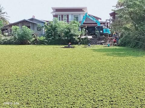 โครงการ กำจัดวัชพืชในเขตเทศบาลตำบลถาวร ประจำปีงบประมาณ 2568