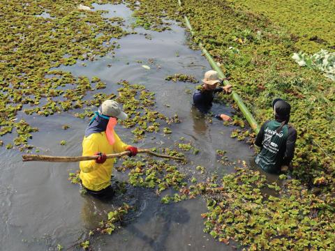 การกำจัดวัชพืชในเขตเทศบาลตำบลถาวร ประจำปีงบประมาณ 2568