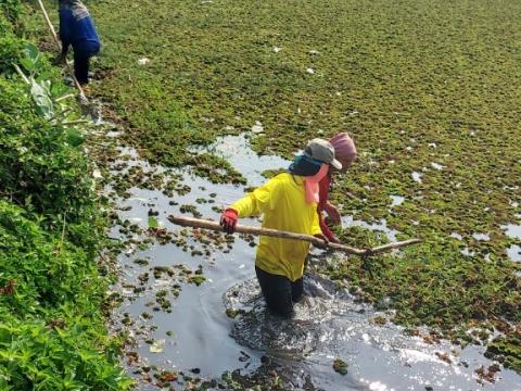 การกำจัดวัชพืชในเขตเทศบาลตำบลถาวร ประจำปีงบประมาณ 2568