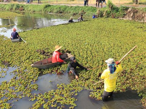 การกำจัดวัชพืชในเขตเทศบาลตำบลถาวร ประจำปีงบประมาณ 2568