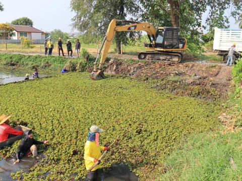 การกำจัดวัชพืชในเขตเทศบาลตำบลถาวร ประจำปีงบประมาณ 2568