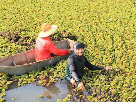 การกำจัดวัชพืชในเขตเทศบาลตำบลถาวร ประจำปีงบประมาณ 2568