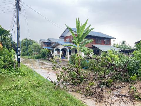 เหตุต้นไม้ล้มกีดขวางการจราจร