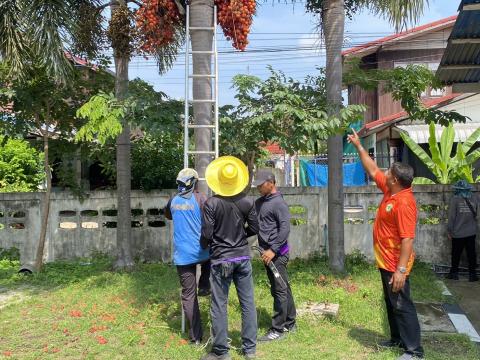 จัดเตรียมสถานที่จัดงานประเพณีบุญบั้งไป ประจำปี 2568