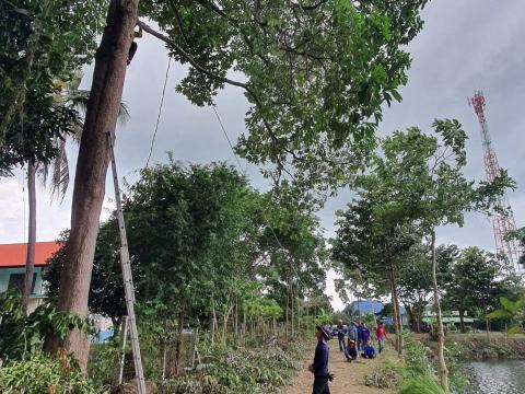 ปรับปรุงภูมิทัศน์บริเวรรอบๆเทศบาลตำบลถาวร
