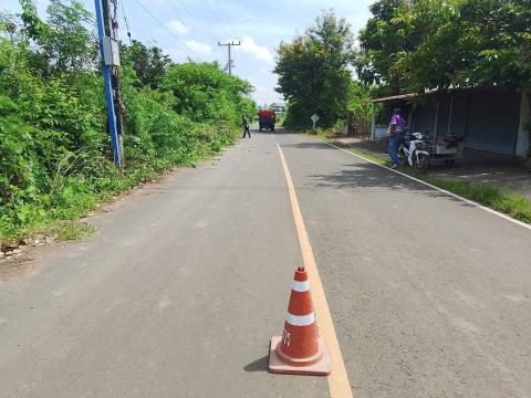 ตัดแต่งกิ่งไม้ริมถนนทางออกเส้นถาวร-เจริญสุข