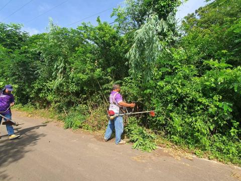 ตัดแต่งกิ่งไม้ริมถนนทางออกเส้นถาวร-เจริญสุข