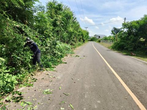 ตัดแต่งกิ่งไม้ริมถนนทางออกเส้นถาวร-เจริญสุข