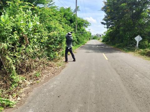 ตัดแต่งกิ่งไม้ริมถนนทางออกเส้นถาวร-เจริญสุข