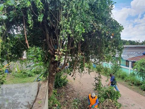 ลงพื้นที่สำรวจตัดแต่งกิ่งไม้ที่กีดขวางทางจราจร