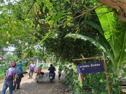 ลงพื้นที่สำรวจตัดแต่งกิ่งไม้ที่กีดขวางทางจราจร