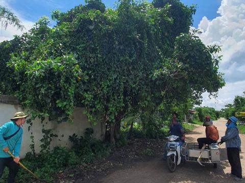 ลงพื้นที่สำรวจตัดแต่งกิ่งไม้ที่กีดขวางทางจราจร