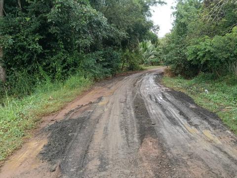 ซ่อมแซมถนนเส้นหนองเบือก และหมู่ที่ 5 บ้านหนองปรือ