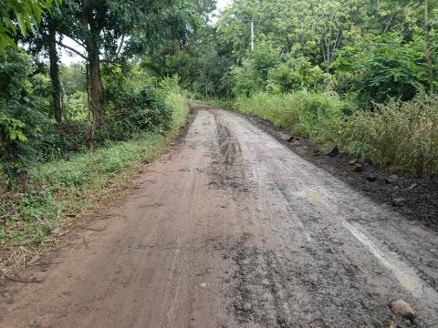 ซ่อมแซมถนนเส้นหนองเบือก และหมู่ที่ 5 บ้านหนองปรือ