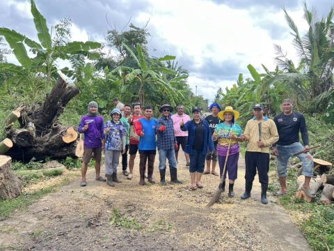 ตัดต้นไม้ล้มทับกีดขวางทางจราจร