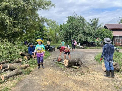 ตัดต้นไม้ล้มทับกีดขวางทางจราจร