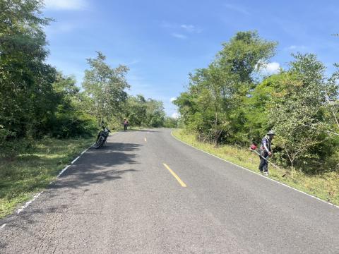ตัดแต่งต้นไม้ริมถนน เพื่อปรับทัศนวิสัยในการขับขี่