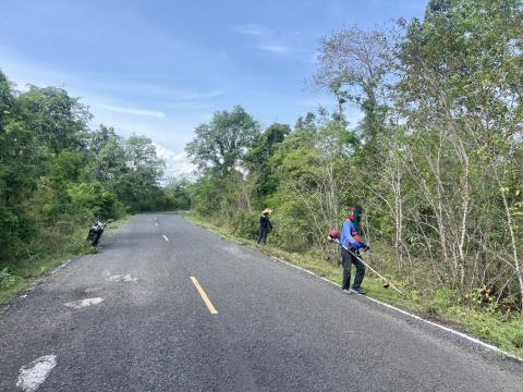 ตัดแต่งต้นไม้ริมถนน เพื่อปรับทัศนวิสัยในการขับขี่