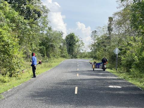 ตัดแต่งต้นไม้ริมถนน เพื่อปรับทัศนวิสัยในการขับขี่