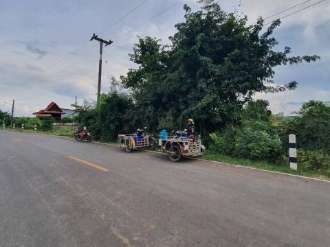 ตัดแต่งต้นไม้ริมถนน เพื่อปรับทัศนวิสัยในการขับขี่