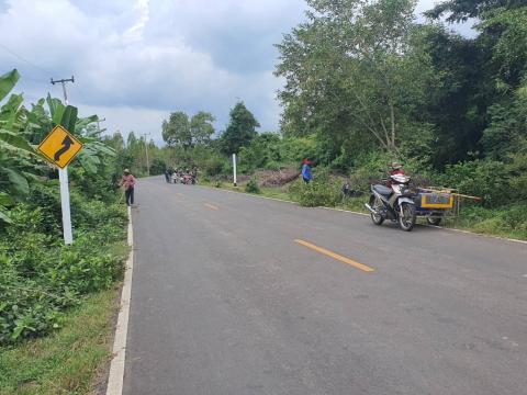 ตัดแต่งต้นไม้ริมถนน เพื่อปรับทัศนวิสัยในการขับขี่