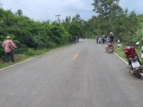 ตัดแต่งต้นไม้ริมถนน เพื่อปรับทัศนวิสัยในการขับขี่