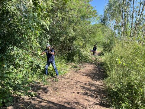 ดำเนินการตัดแต่งต้นไม้ริมถนนคลองโป่ง