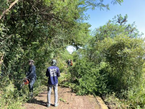 ดำเนินการตัดแต่งต้นไม้ริมถนนคลองโป่ง