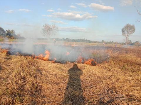 ออกดำเนินการระงับเหตุไฟลามทุ่งในพื้นที่หมู่ที่ 2