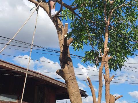 ล้างทำความสะอาดตลาดชุมชน