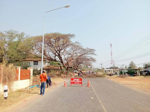 ตัดกิ่งไม้