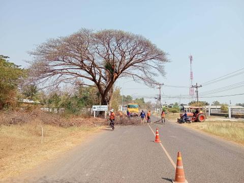 ตัดกิ่งไม้